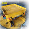 transfer cart with turnplate on rail achieves 360 degree rotation Material Handling Turntable